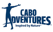 Up To 40% Off Cabo Combos