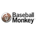 Baseball Monkey