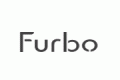 Furbo