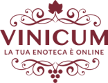 Vinicum IT