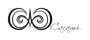 Carami IT