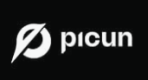 Picun